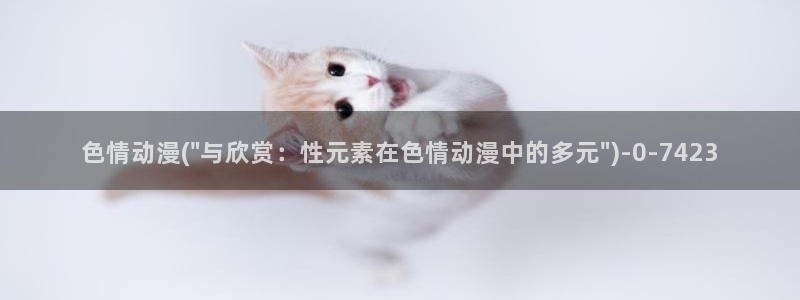 二次元动漫:色情动漫(\